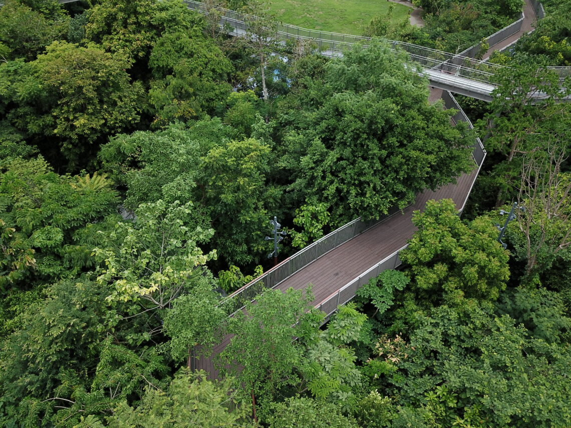 Trading Bangkok’s urban jungle for a familial, forested haven Asia